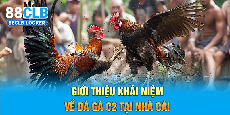 Giới thiệu khái niệm về đá gà C2 tại nhà cái Giới thiệu khái niệm về đá gà C2 tại nhà cái