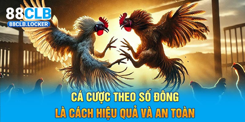 Cá cược theo số đông là cách hiệu quả và an toàn Cá cược theo số đông là cách hiệu quả và an toàn