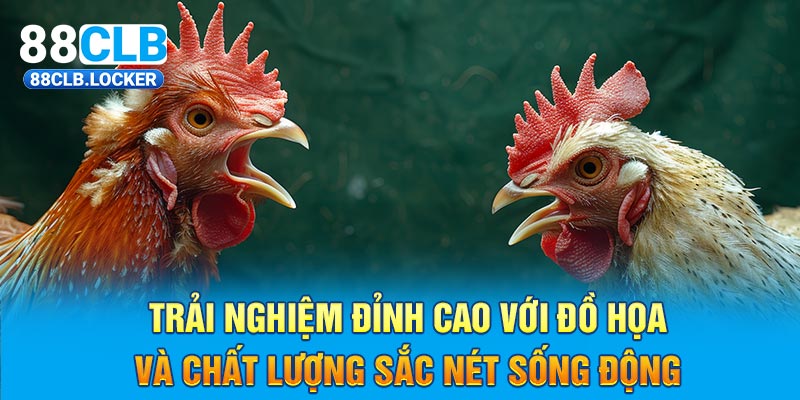 Trải nghiệm đỉnh cao với đồ họa và chất lượng sắc nét sống động Trải nghiệm đỉnh cao với đồ họa và chất lượng sắc nét sống động