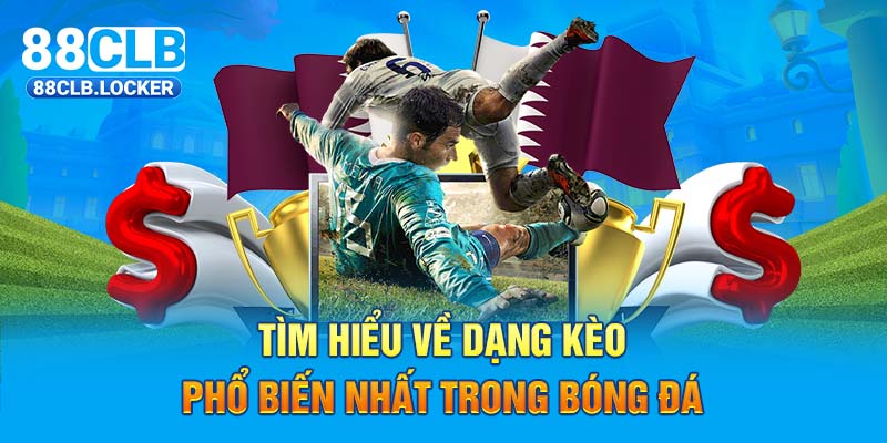 Tìm hiểu về dạng kèo chấp 1/2 trong bóng đá Tìm hiểu về dạng kèo chấp 1/2 trong bóng đá