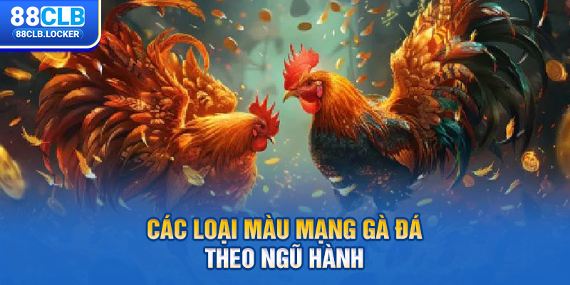 Các loại màu mạng gà đá theo ngũ hành Các loại màu mạng gà đá theo ngũ hành