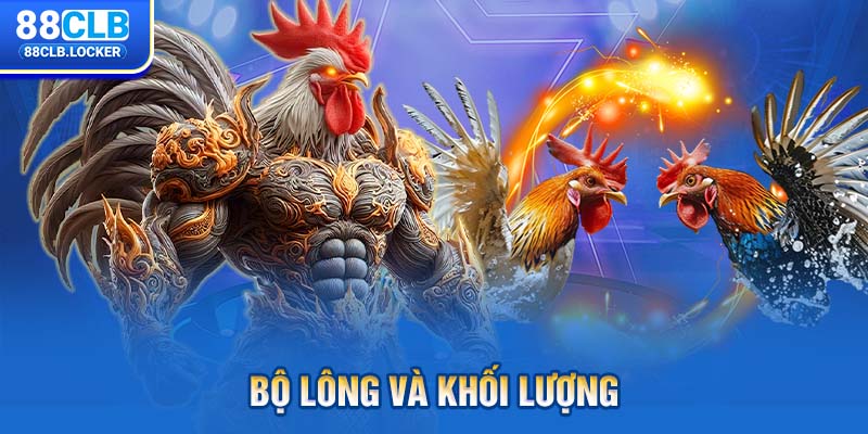 Bộ lông và khối lượng Bộ lông và khối lượng