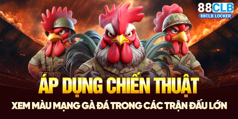 Áp dụng chiến thuật xem màu mạng gà đá trong các trận đấu lớn Áp dụng chiến thuật xem màu mạng gà đá trong các trận đấu lớn