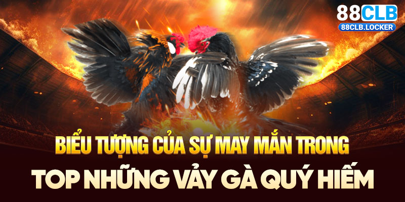 Biểu tượng của sự may mắn trong top những vảy gà quý hiếm Biểu tượng của sự may mắn trong top những vảy gà quý hiếm