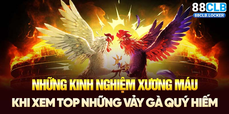 Những kinh nghiệm xương máu khi xem top những vảy gà quý hiếm Những kinh nghiệm xương máu khi xem top những vảy gà quý hiếm