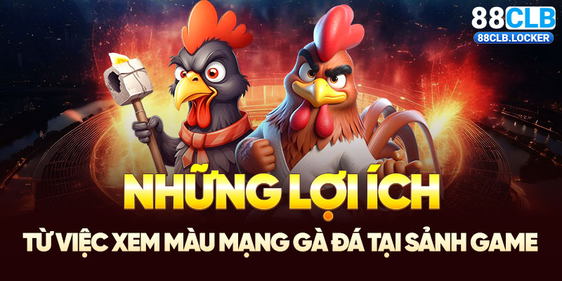 Những lợi ích từ việc xem màu mạng gà đá tại sảnh game Những lợi ích từ việc xem màu mạng gà đá tại sảnh game