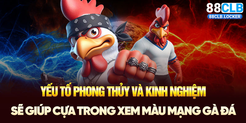 Yếu tố phong thủy và kinh nghiệm sẽ giúp cựa trong xem màu mạng gà đá Yếu tố phong thủy và kinh nghiệm sẽ giúp cựa trong xem màu mạng gà đá