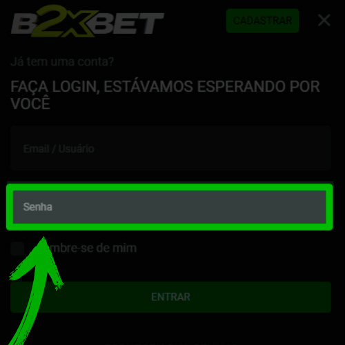 Digite a senha no b2xbet