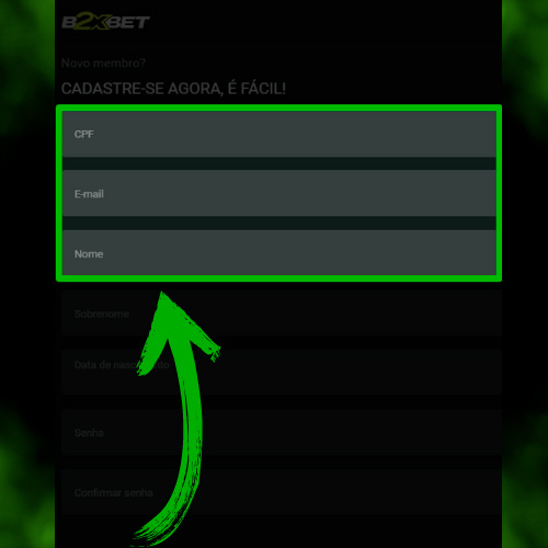 Insira seus dados para se registrar no site b2xbet